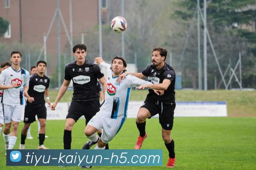 多媒体互动体验