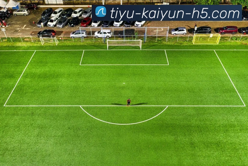 开云体育APP 高清赛事图