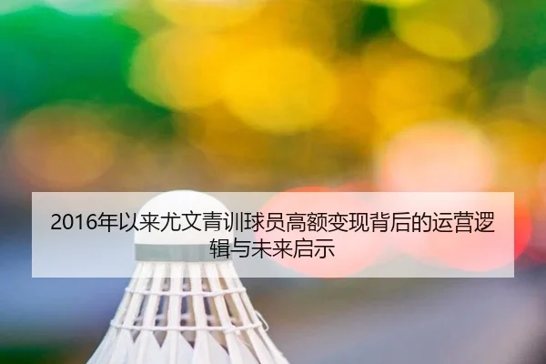 2016年以来尤文青训球员高额变现背后的运营逻辑与未来启示